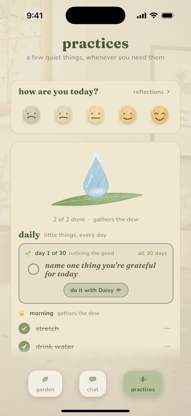 the daily self-care ritual, watering the garden