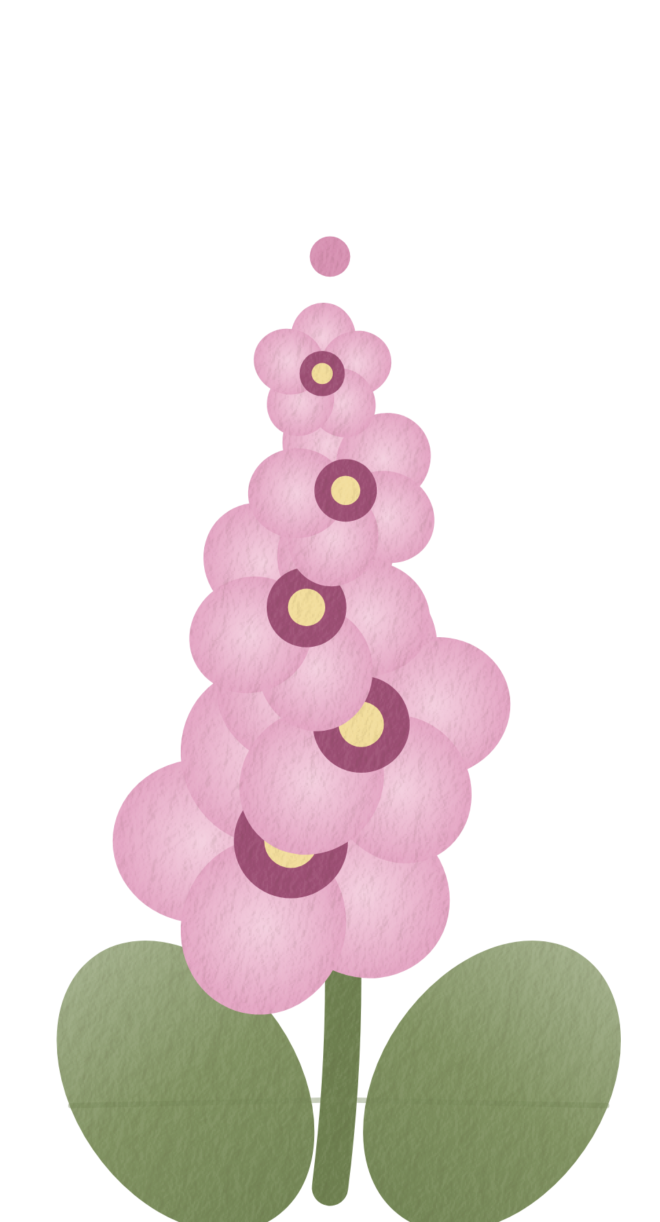 the hollyhock, painted