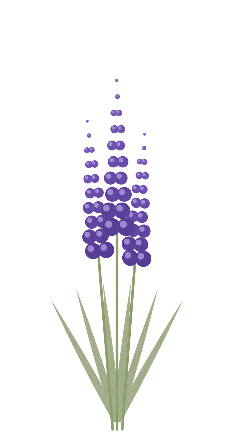 the lavender, painted