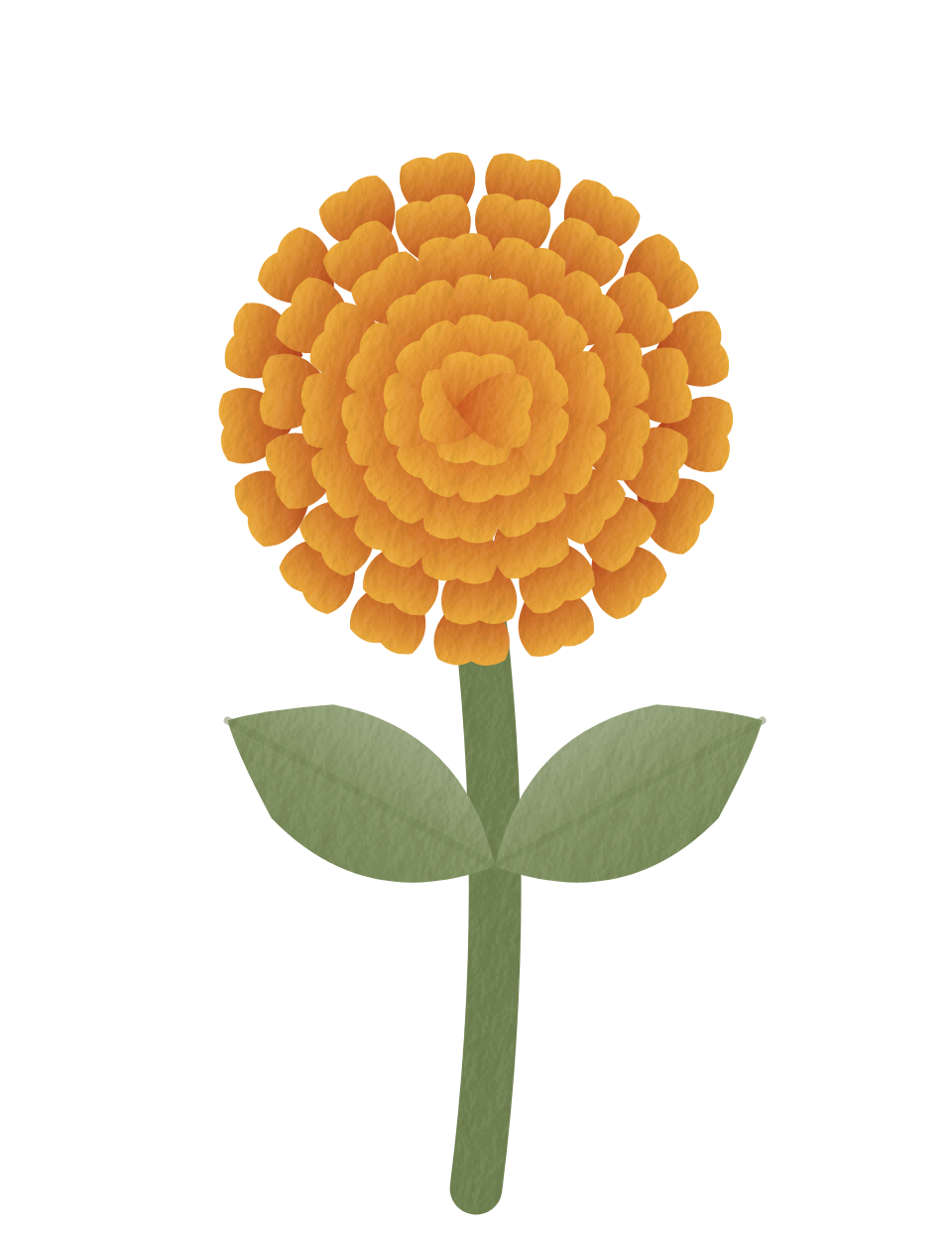 the marigold, painted