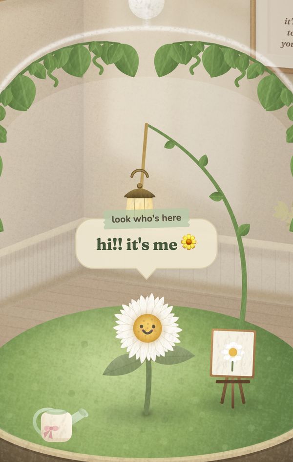 Daisy has bloomed and says: hi!! it's me